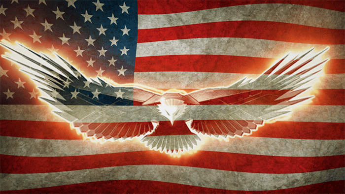 Thank your local Veteran today!