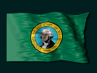 Washington State Flag